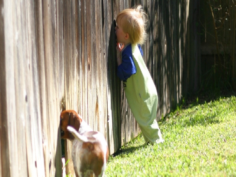 日本小众香水试管试管花瓶造型木条试管卵泡期方案